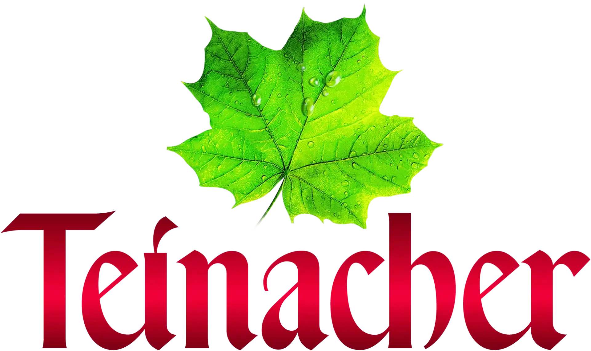 Teinacher